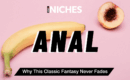 NICHES : Anal — Why This Classic Fantasy Never Fades